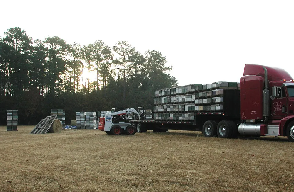 Bee hauling truck and hives
