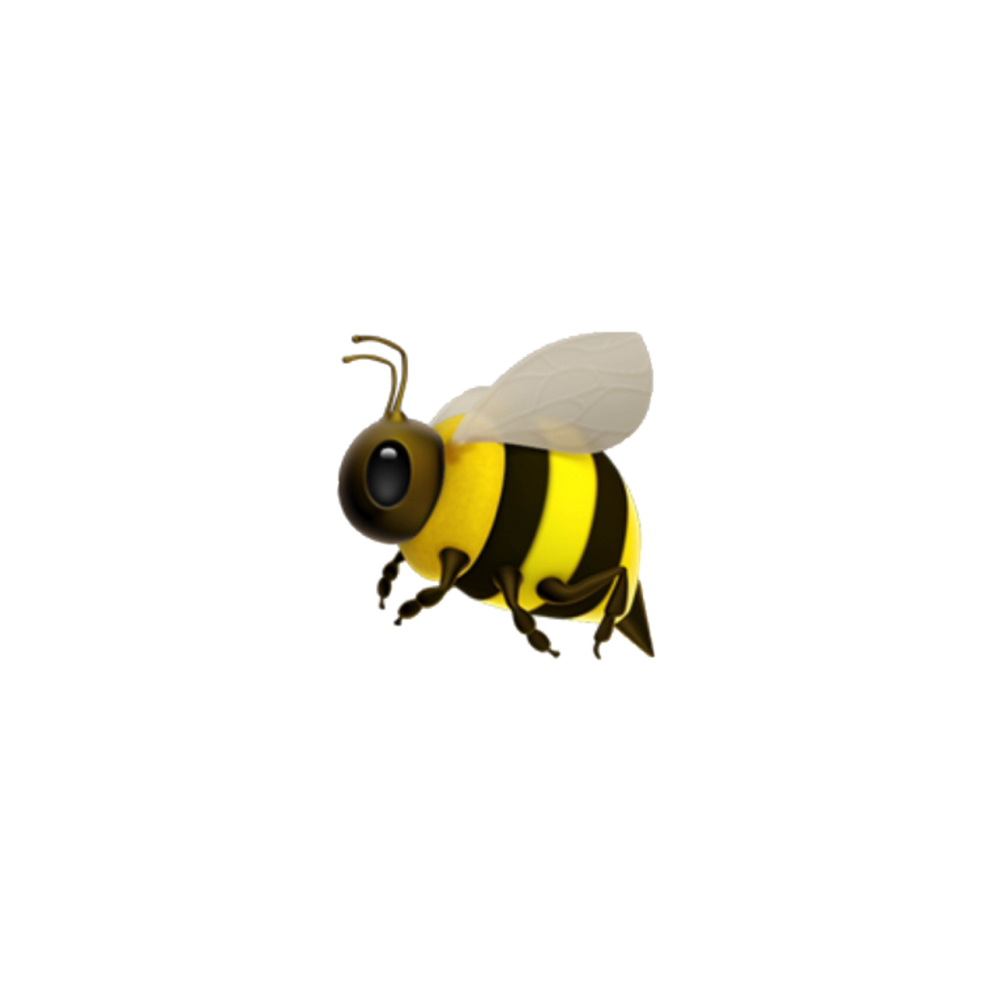 Bee icon